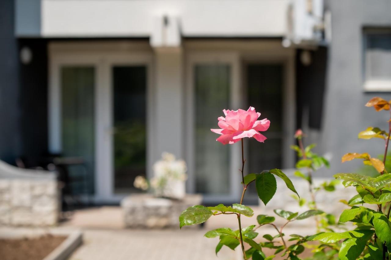 Hotel Complex Paloma Coral Mamaja Zewnętrze zdjęcie